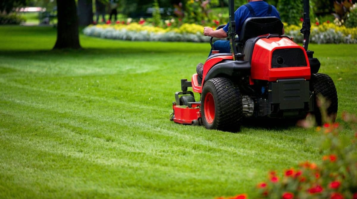 Landscaping